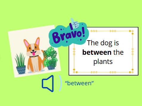 Match the words with the correct picture